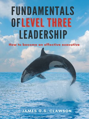 cover image of Fundamentals of Level Three Leadership